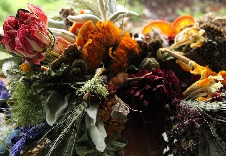 Dried teddybear sunflowers, coral peony, wasp's comb and orange slices. #driedflowers #westerwisp #flowers #sanjuanislands #Seattle #seguin #snohomish #lopezisland #fridayharbor #wedding #weddingflowers #weddinginspo #weddingcolors #theknot #junebugweddings #sunflowers #honey