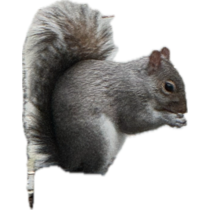 smokingfoxprod's tweet photo. Hi! https://t.co/y9FiwTtuwt