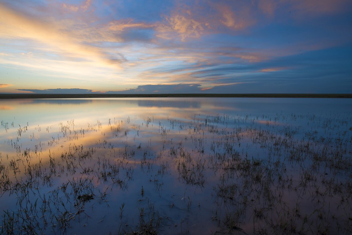 Oregon's Lake Abert, a vital habitat for migratory birds, is facing decreasing water levels due to irrigation &amp; climate change--threatening  species relying on the salt lake. Conservationists &amp; ranchers are uniting to preserve this essential ecosystem. t.ly/REZH6