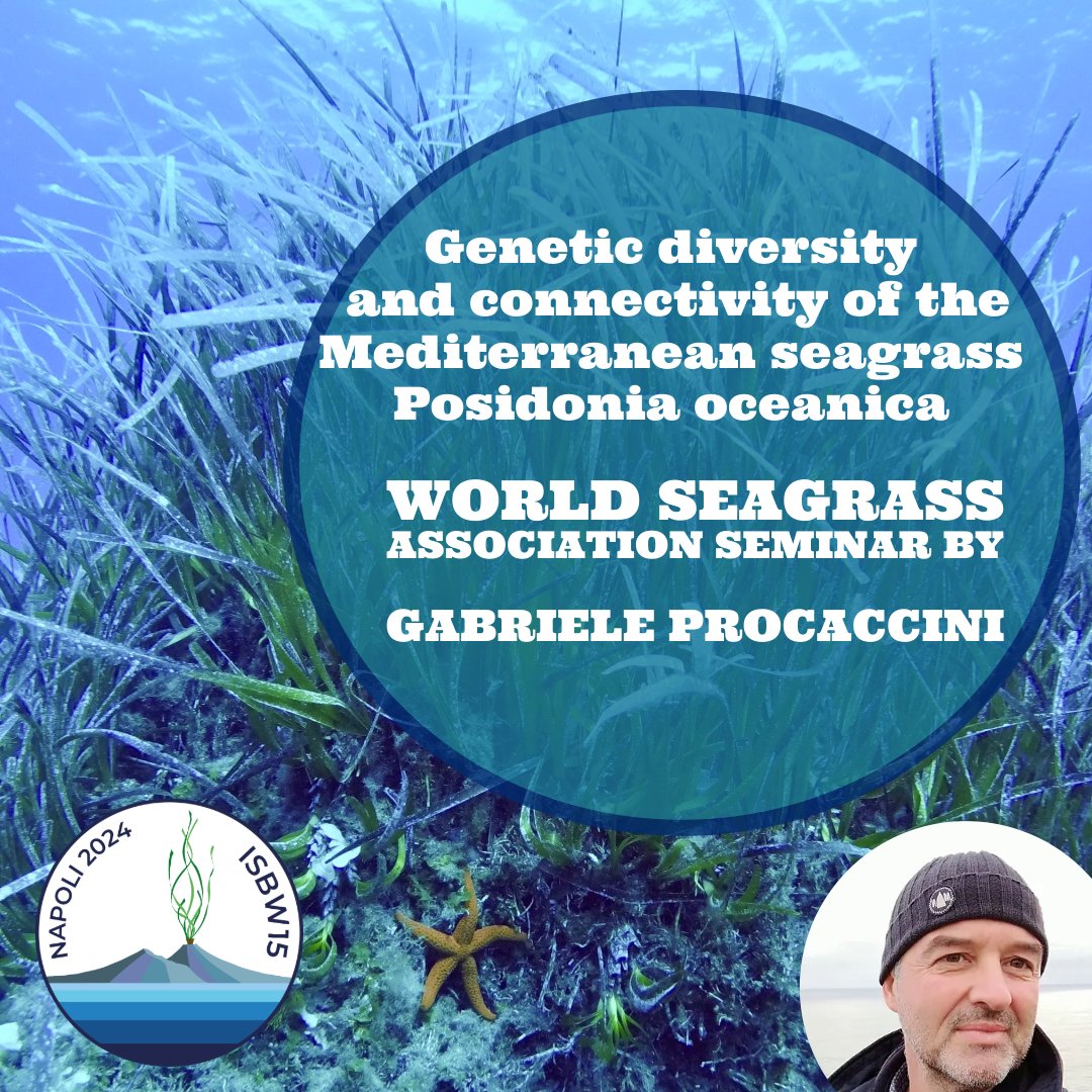 Mark your calendar! Thursday 7th March at 12:00 pm Rome (TOMORROW!!) @Seagrass_WSA online seminar! 👉us02web.zoom.us/j/82168262736?…