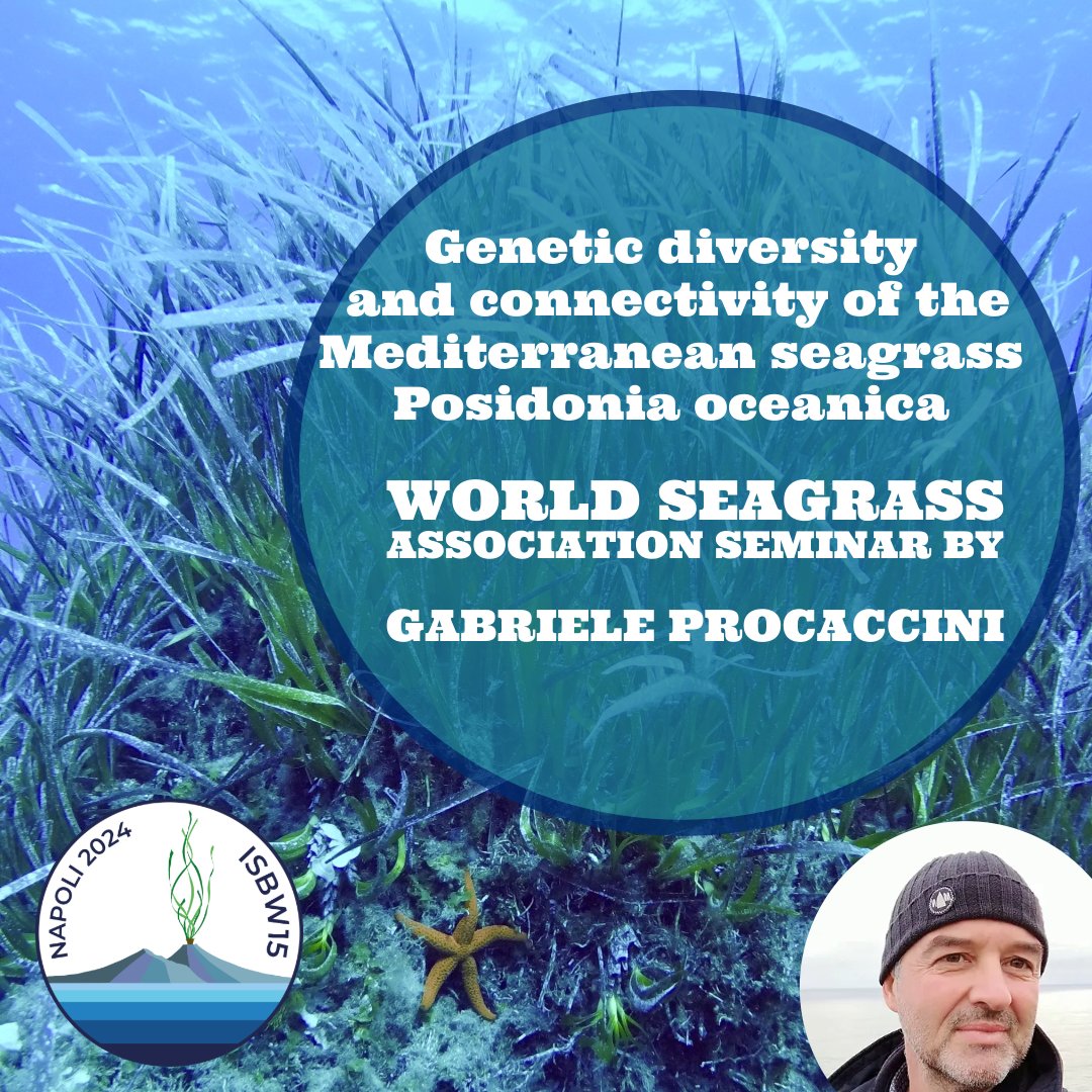 Mark your calendar! Thursday 7th March at 12:00 pm Rome (TOMORROW!!) @Seagrass_WSA online seminar!

👉us02web.zoom.us/j/82168262736?…