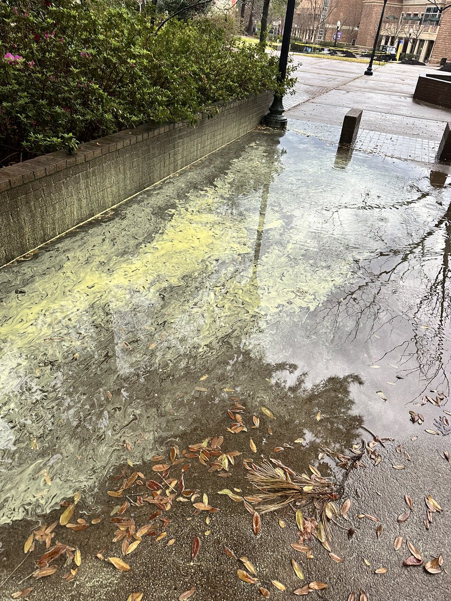 Andrew J. Dies tweet media