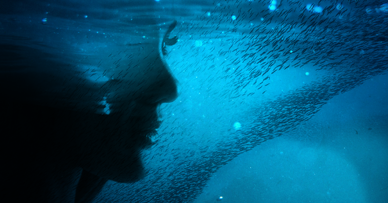 EMBRC_EU's tweet photo. #InternationalWomensDay | 👉 Science is better when we have diversity but women still face many challenges in the sector
➡️ How can we improve marine science for a more equitable future?
Read more in our latest blog 👇
#WomenInSTEM #EMBRCBlog