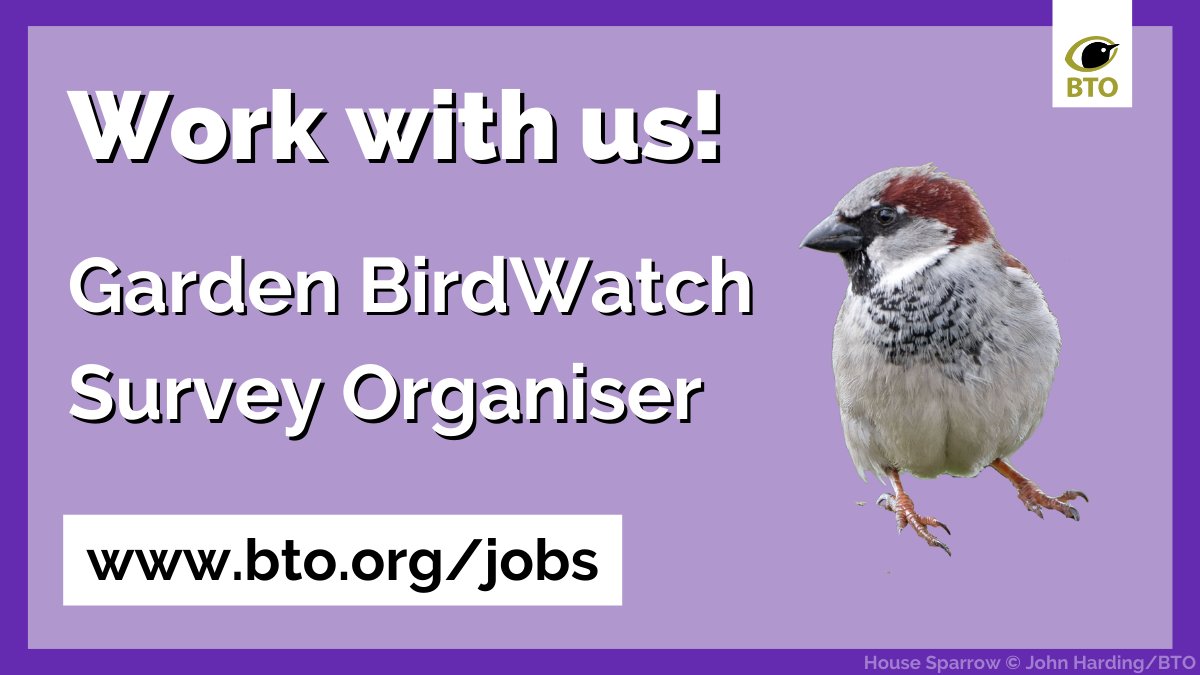 We're hiring! Could you have what it takes to be our next Garden BirdWatch Survey Organiser? Apply by midday on 19 March. …shtrustforornithology.postingpanda.uk/job/525572 #ConservationJobs #Norfolk #Thetford #environmentjobs