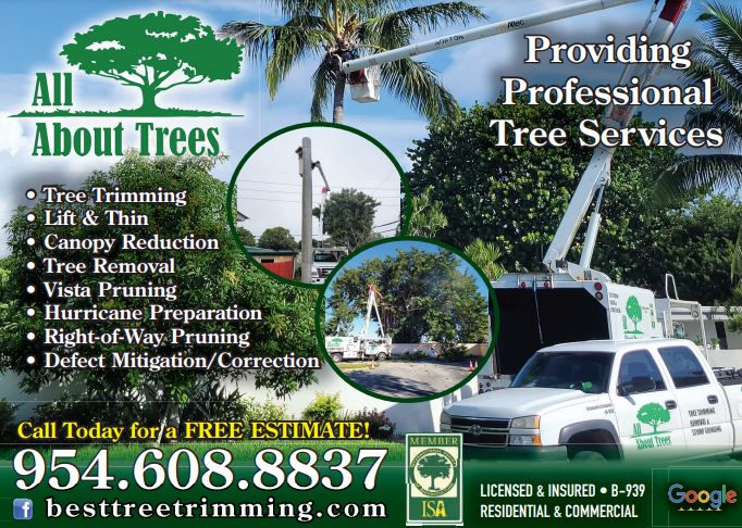 #ShoutOutOfTheDay #AllAboutTrees saveon.com/merchants/all-… CALL TODAY FOR A #FreeEstimate on #TreeTrimming #TreeRemoval #HurricanePreperation #DefectMitigation #TreeServices #BrowardCounty #SouthFL #HomeProsGuide #FindAPro