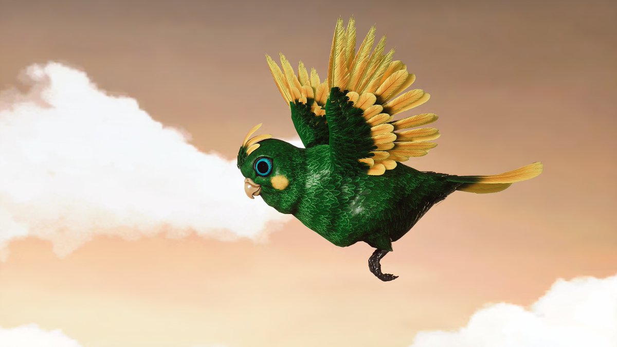 Shinobi 🖱📸 tweet media