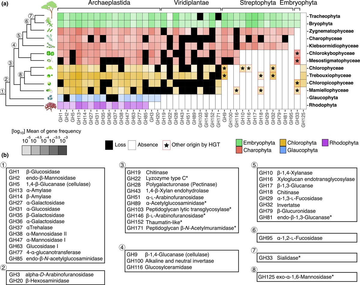 New Phytologist tweet media