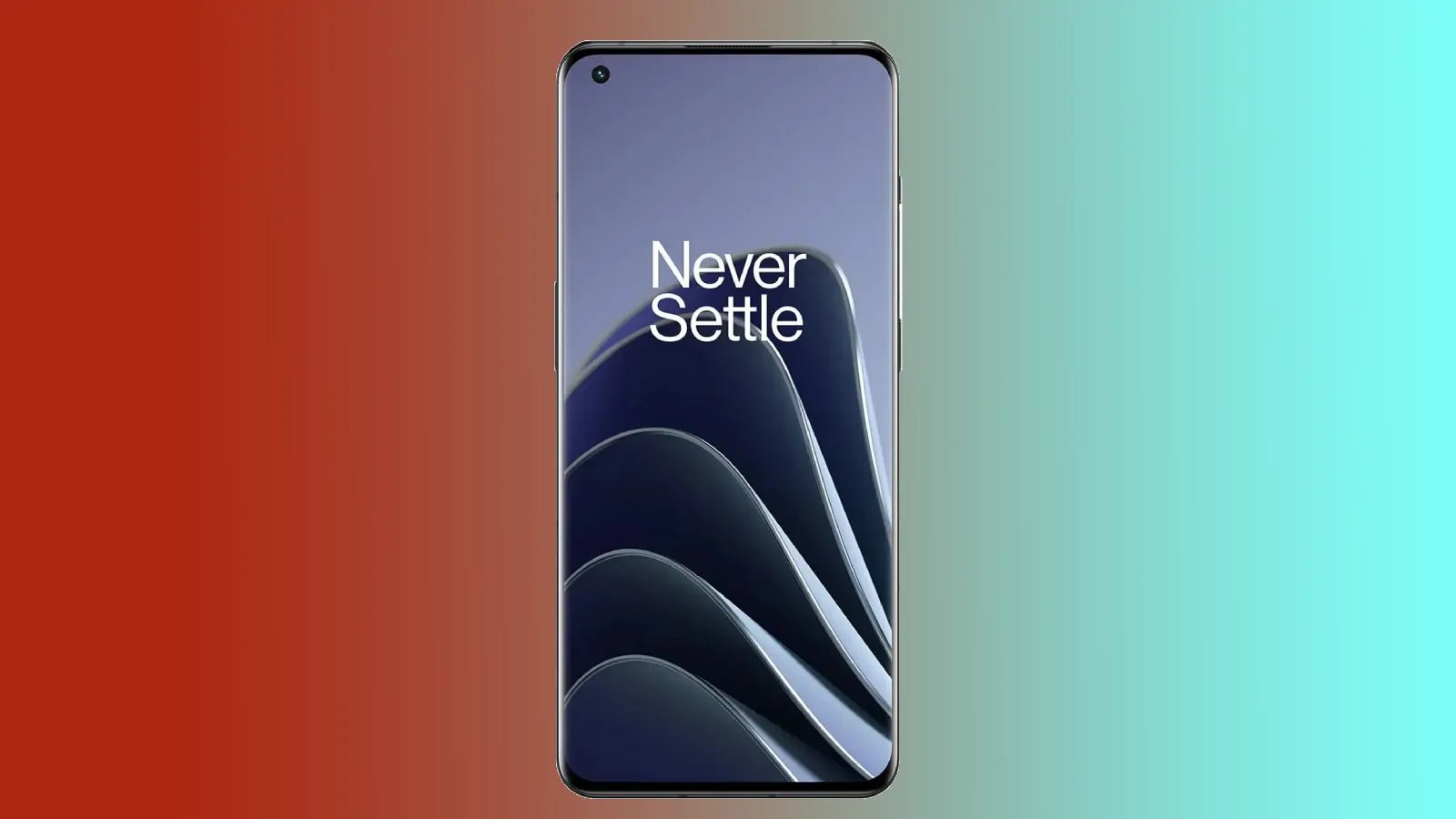 OnePlus 13