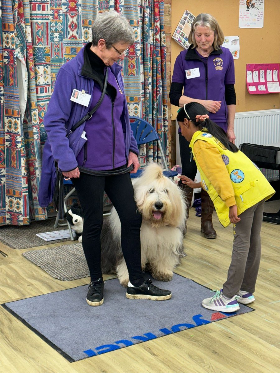 Brownies from #Oxshott and #Stokedabernon had wonderful meetings this week with guests From Fear to Friend. Many thanks to our four legged friends Fletcher, Dougie, Wilma & Roxy for coming along @Guiding_LaSER