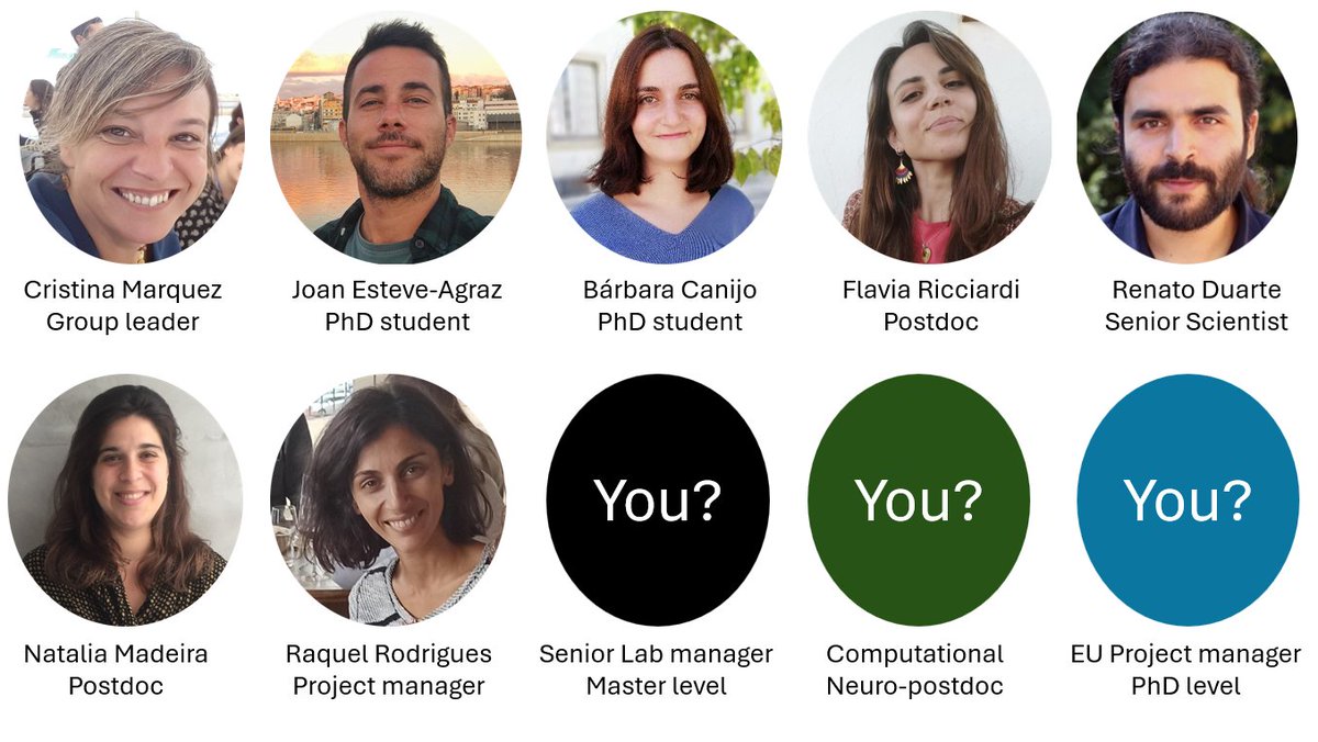 CrisMarquezVega's tweet photo. We are growing, do you want to join us in #Coimbra?

#HIRING at 3 levels:
- #postdoc  in Computational Neuroscience
- Senior #LabManager
- #ProjectManager 
Info: https://t.co/c5wxxwkK1C

#ReallyNicePeopleToWorkWith (just saying)
#SocialBehavior #NeuralCircuits

#ERAChairs #H2020 https://t.co/m40uXtUIVi