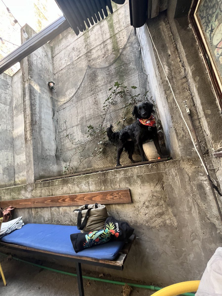 𝑫𝙖𝒍𝙞𝒃𝙤𝒓 tweet media