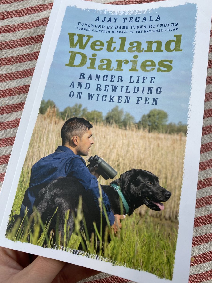 ‘This is a tantalising glimpse of a bright new future, reminiscent of the past.’ - @AjayTegala #WetlandDiaries which is Ajay’s new book about #rewilding #WickenFen (which is where I grew up) 📚It is OUT on the 2nd May 📚 #booktwitter #naturewriting