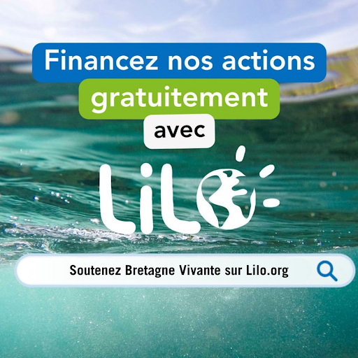 [LE SAVIEZ-VOUS ?] Vous pouvez soutenir Bretagne Vivante gratuitement ! 😍 1⃣ Installez #Lilo, le moteur de recherche français et solidaire 2⃣1 recherche = 1 goutte d'eau 💧 que vous reversez en #don à Bretagne Vivante Rendez-vous sur : lilo.org/bretagne-vivan…