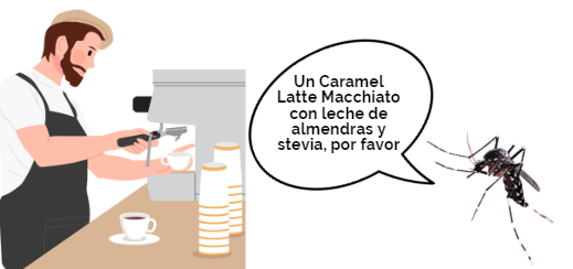 Es importante vaciar los recipientes con agua estancada que están en nuestros domicilios porque el Aedes aegypti, mosquito vector del virus del dengue, se ha adaptado muy bien a las condiciones urbanas. 
Aquí podemos verlo en una típica mañana: