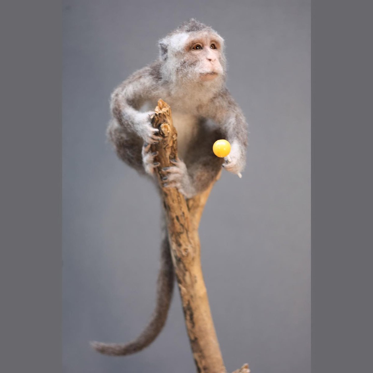 Have a wander into the artist’s studio this week to marvel at the most beautiful needle felted animals and birds, made by Agnese Davies.

There is also one space left on her needle felting art course on April 15th. 
natureinart.org.uk/artcourses

#needlefeltingartist