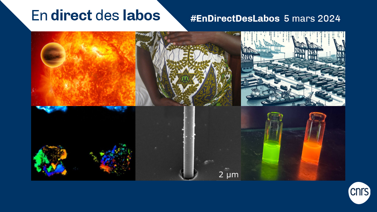 #EnDirectDesLabos 🔎 Nouvelles actualités scientifiques 🔬, création de laboratoire 👩‍🔬, annonce de prix 🏅... Retrouvez toutes les deux semaines les informations issues des laboratoires du CNRS.

👉 cnrs.fr/endirectdeslab…