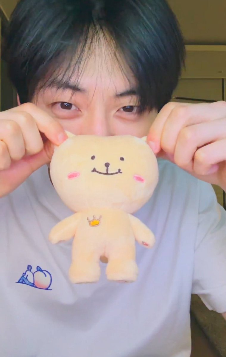 ファンミニョン ファンドにゃん