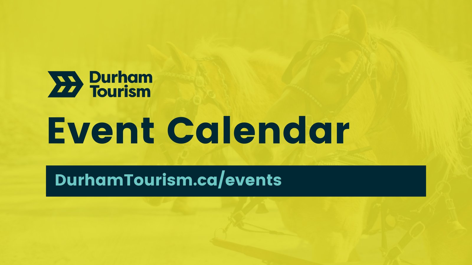 Durham Tourism on X: durham-tourism-on-x-hosting-a-festival-or-celebration-in-durhamregion-add-it-to-the-durhamtourism-events-calendar-at-https-t-co-yoz7khdwoe-https-t-co-dhby2uauhk-x