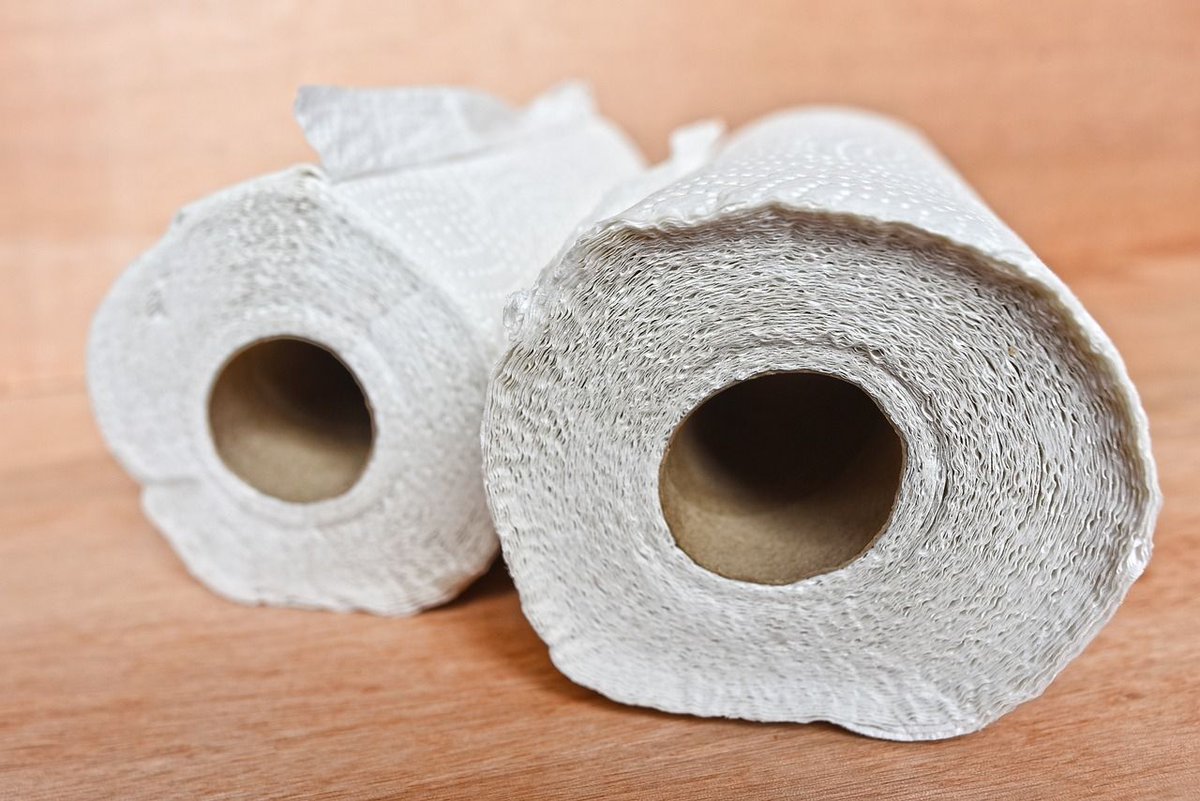 Year 7 students are planning an exciting Science Week activity next week, but they need your help! Please could you send in any spare cardboard tubes from kitchen rolls or toilet rolls? They can be dropped off at Reception, ideally by the end of this week. Thank you!