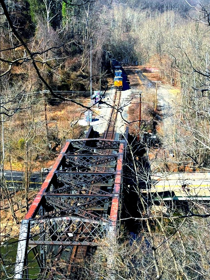 Robert Duffield tweet media