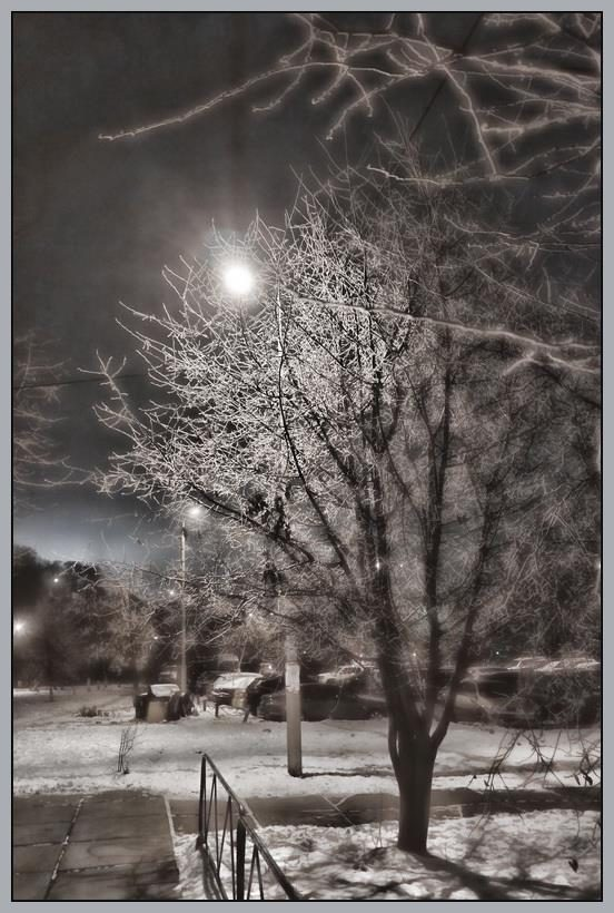 KharchenkoArt's tweet photo. Evening tree. Winter.
#art #kharchenko #nft #nfts #nftart #nftarts #nftcollector #nftartwork #nftinvestor #nftcommunity #nftartists #nftdrop #nftdrops #opensea #nftgiveaway #artwork #tree #trees #Winter #evening https://t.co/bya6ImjZi6
