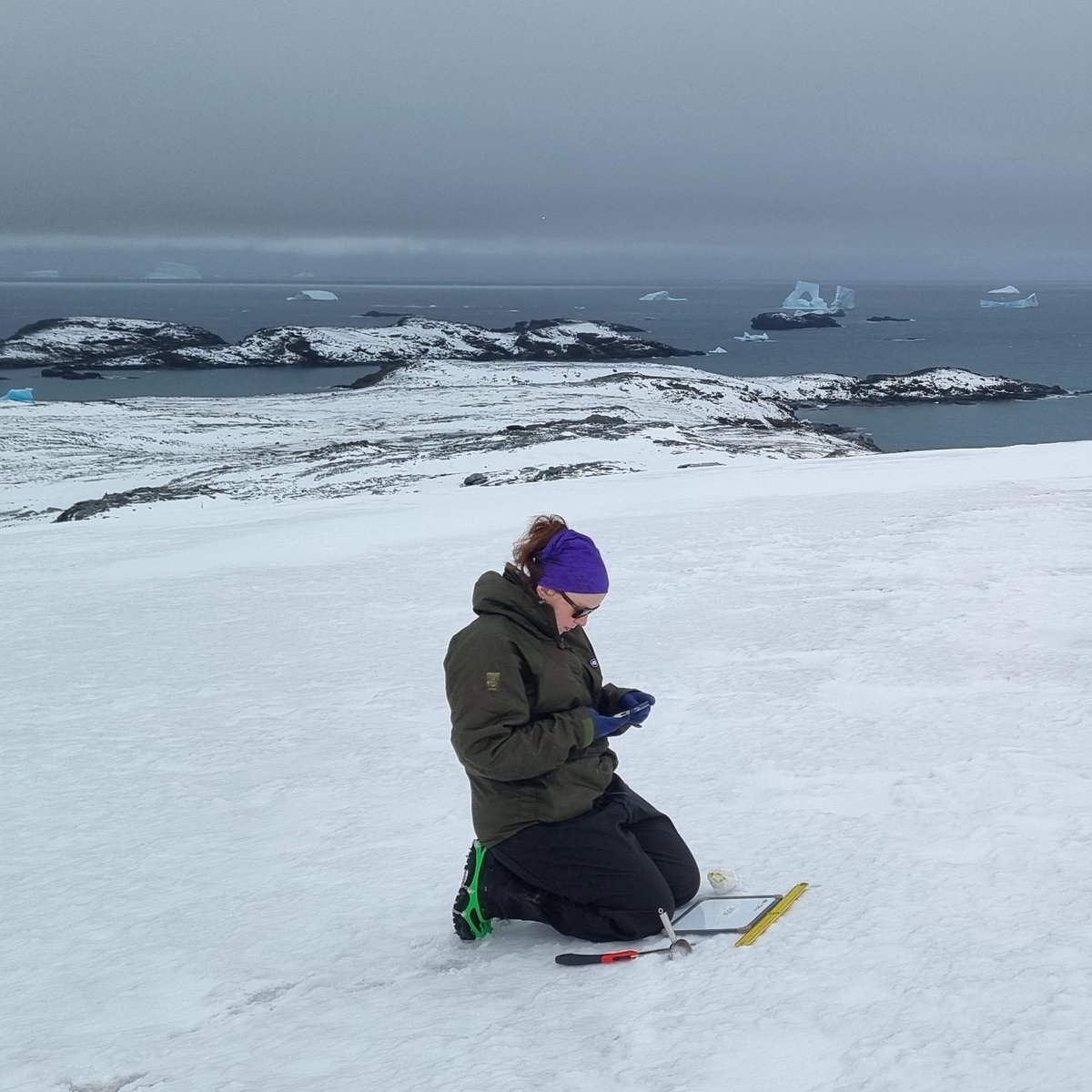 How does algae survive at the planet's coldest extremes? 🍀 That's the question that took Emily Broadwell (aka @em_lm_b) to Signy Research Station, as part of her PhD research at @MicroLabBristo1 🏔️ 🧵