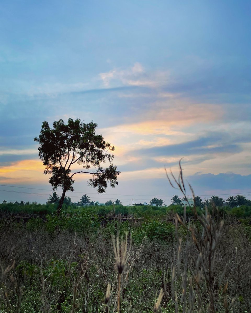 Asit Ghadge tweet media