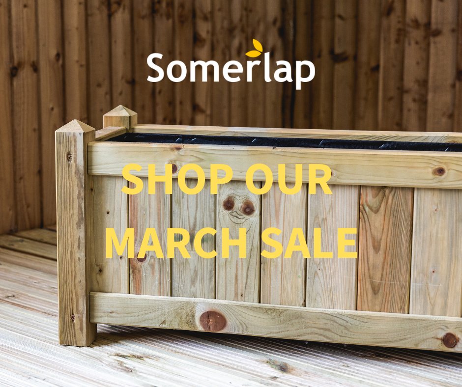 The Somerlap Team tweet media