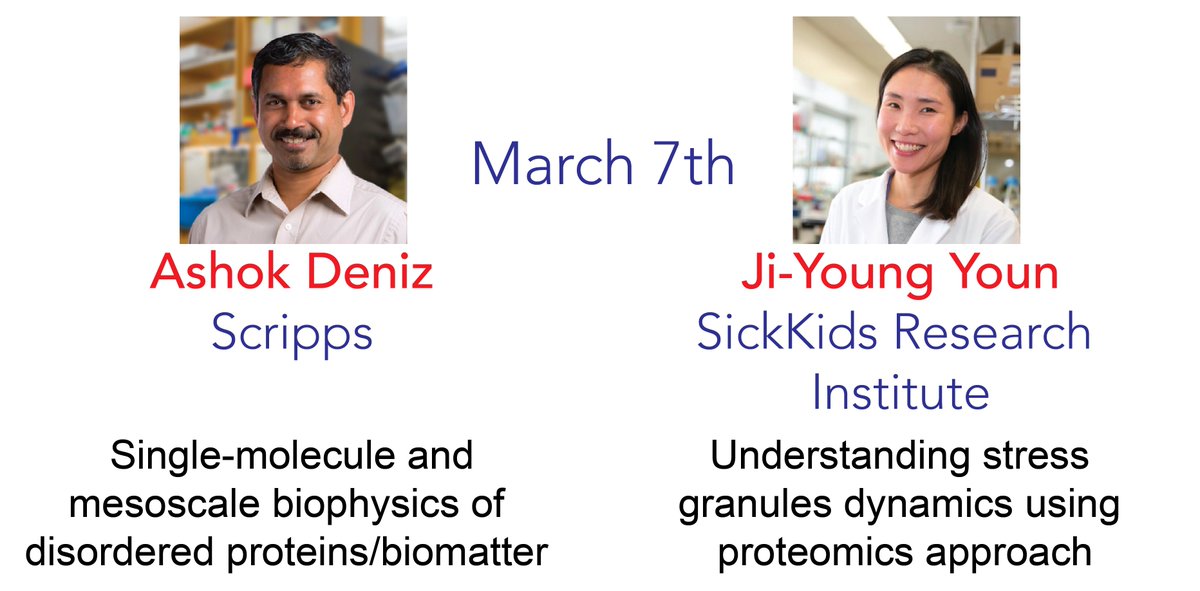 IDPSeminars is back this week on Thursday March 7th for two fantastic talks from Ashok Deniz and @Ji_young_Youn! Zoom info is sent out but if you can't find it, please head over to idpseminars.com to register (which gives you direct access to the zoom link)