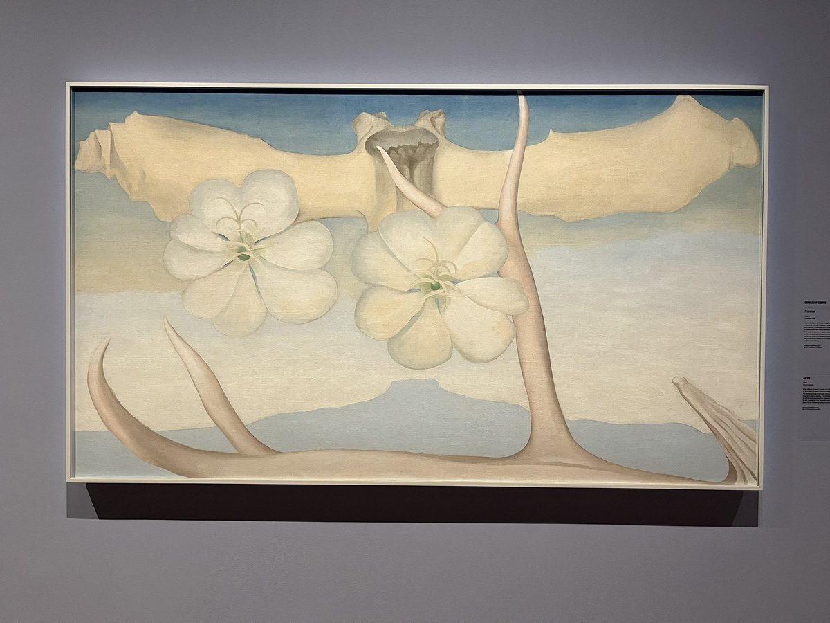 Georgia O’Keeffe paintings as part of O’Keeffe/Henry Moore exhibition at @mbamtl. #5womenartists
