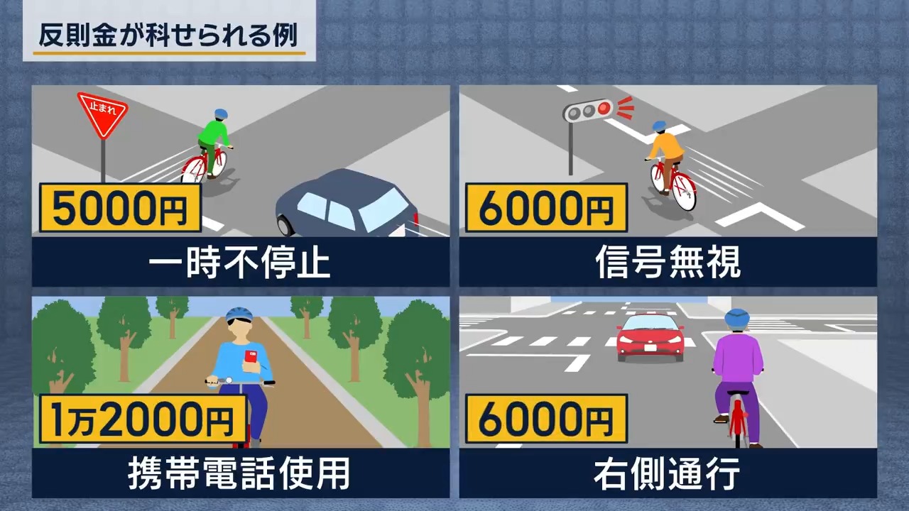 青鳥城跡 関越自動車道関係埋蔵文化財調査報告 Ⅳ 青鳥城跡 関越