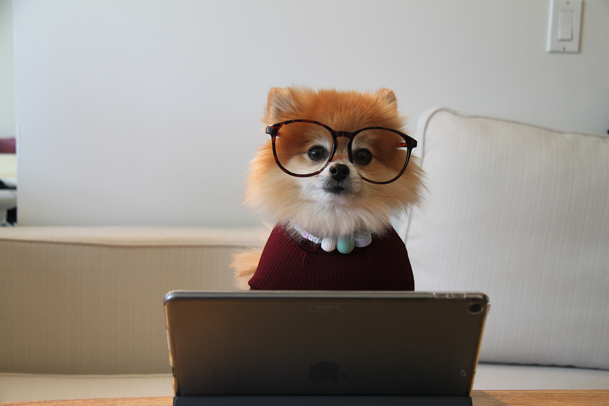AlconburyCampus (@alconburycampus) on Twitter photo Struggling to focus at home?
Why not swing by The Club to switch it up? 🧑💻
Enjoy a change of scenery on weekdays from 9am–5pm. No booking required and WI-FI is available.
For any queries, email: info@alconbury-weald.co.uk ✉️ Struggling to focus at home?
Why not swing by The Club to switch it up? 🧑💻
Enjoy a change of scenery on weekdays from 9am–5pm. No booking required and WI-FI is available.
For any queries, email: info@alconbury-weald.co.uk ✉️