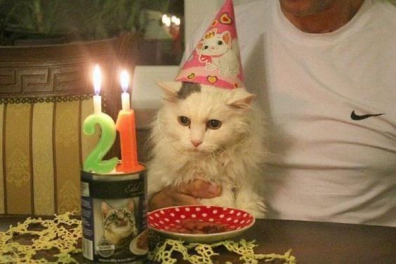 Yesterday was my 21st birthday, unfortunately I couldn't enjoy it much because of university, my health and my job but at least one friend came to visit me, I also ate cake. 👍