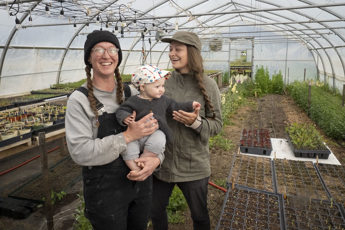 Don’t forget to thank a farmer on National Farmers Day! Explore resources on farmers markets and local food sourcing at NAL’s Food and Nutrition Information Center. 
nal.usda.gov/human-nutritio… #NationalFarmersDay