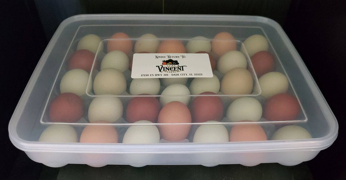 #Eggs going to a customer today. 

If you sell eggs, post #pics of your customer cartons.

#BackyardChickens #GrowYourOwn #SelfReliance #CSA #GodBless 🙏🙏🙏✝️✝️✝️