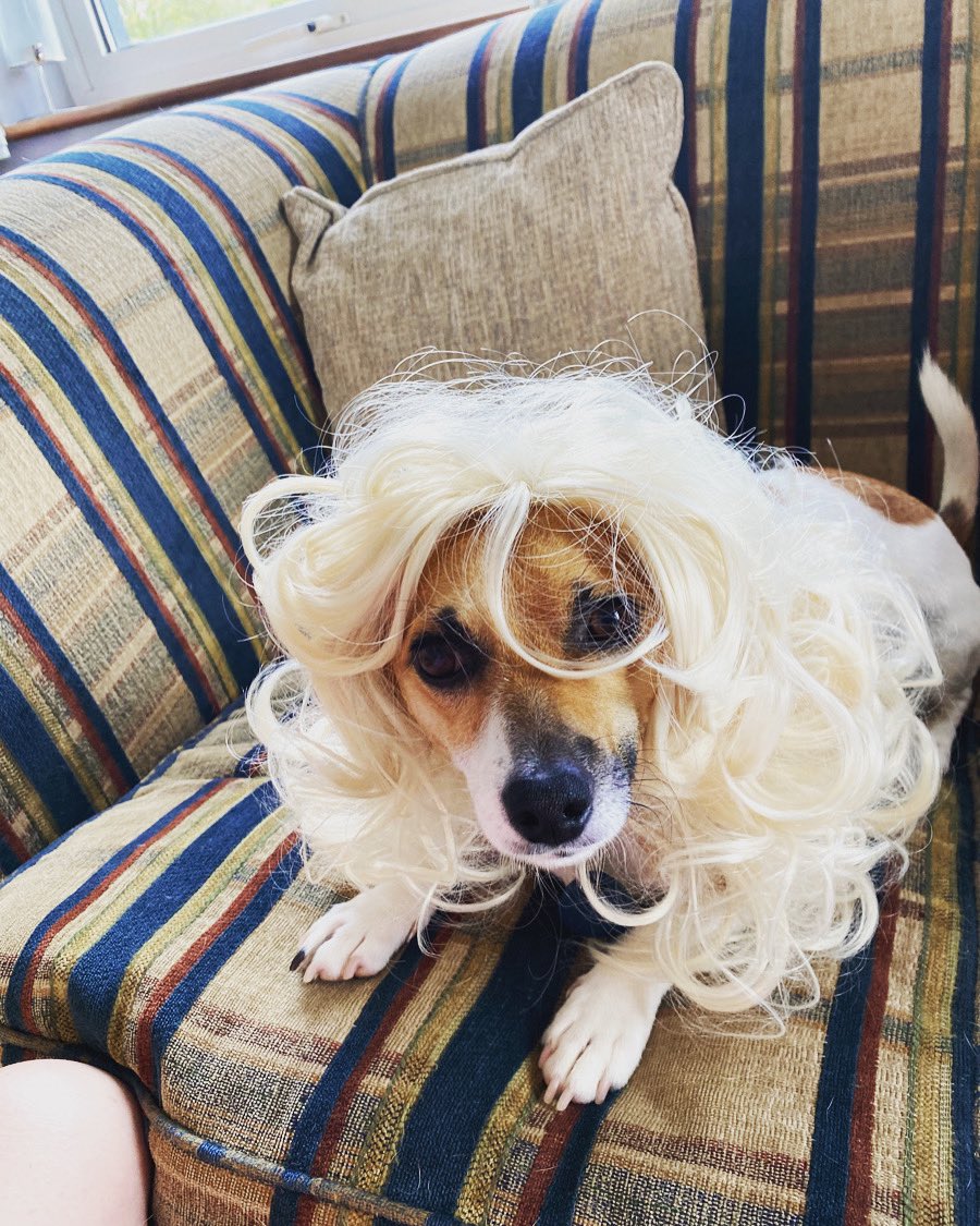 Máire Logue tweet media