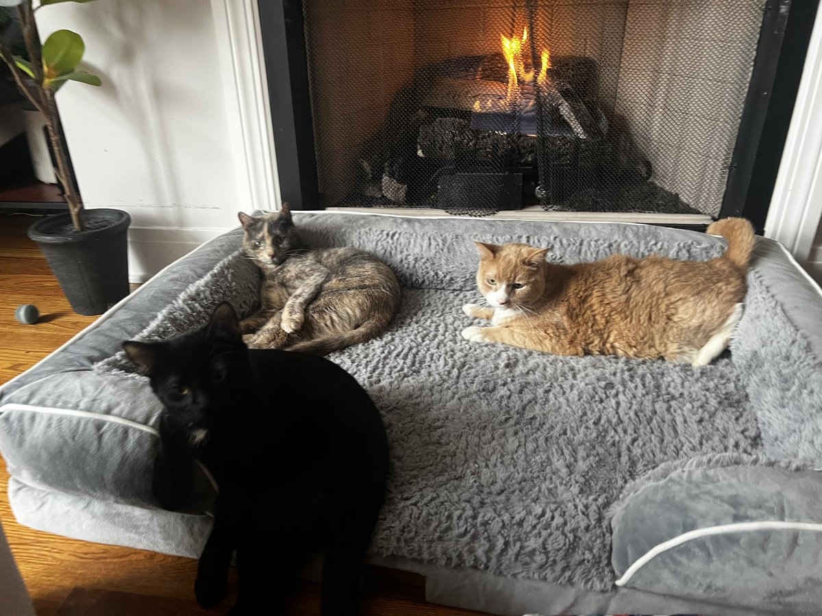 we didn’t start the fire