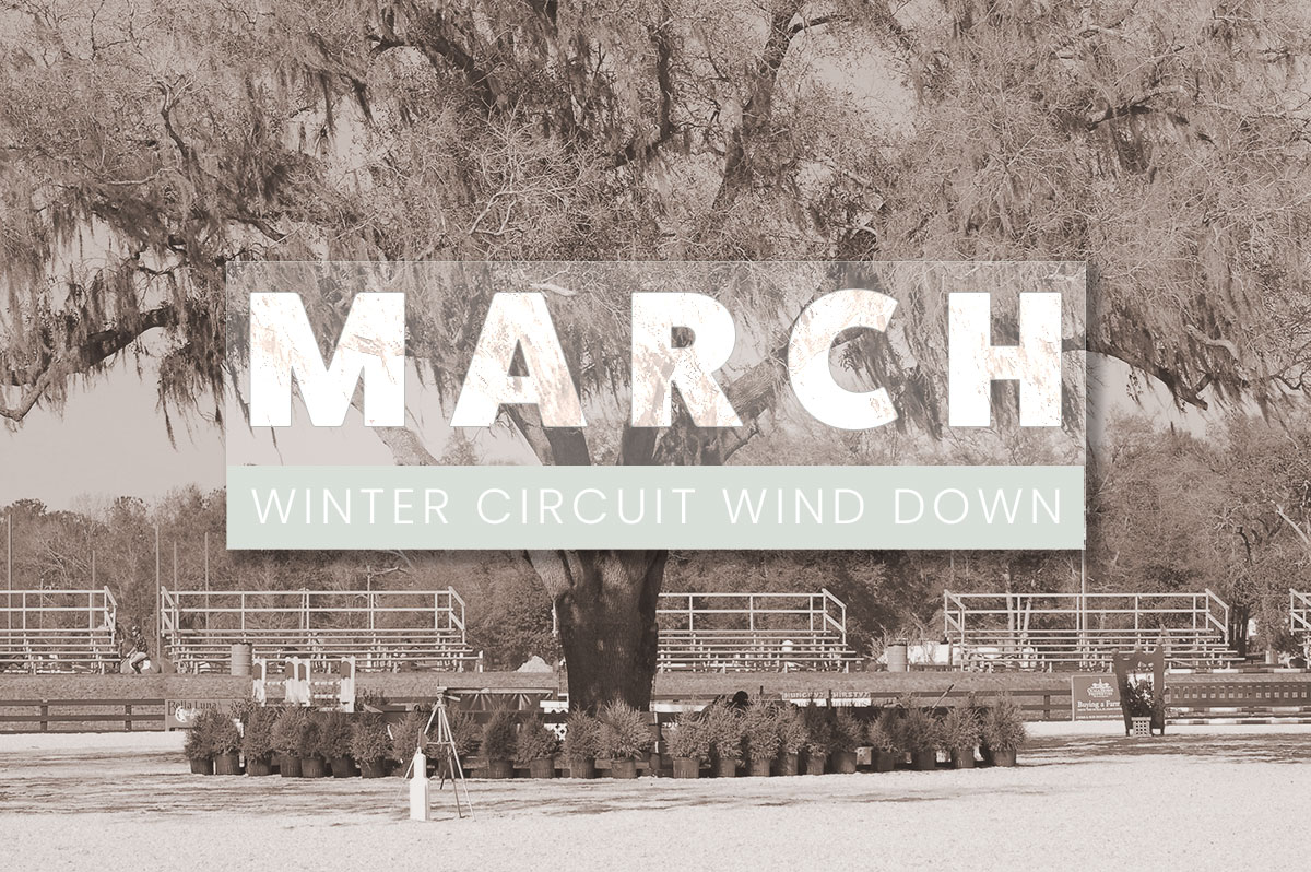 8 weeks down, 4 to go, lots of motivated sellers living on nothing but caffeine ☕️ It's a great time to #shophorses in Florida! Hit up our home page to see who's still available at WEF, WEC &amp; HITS #wintercircuits