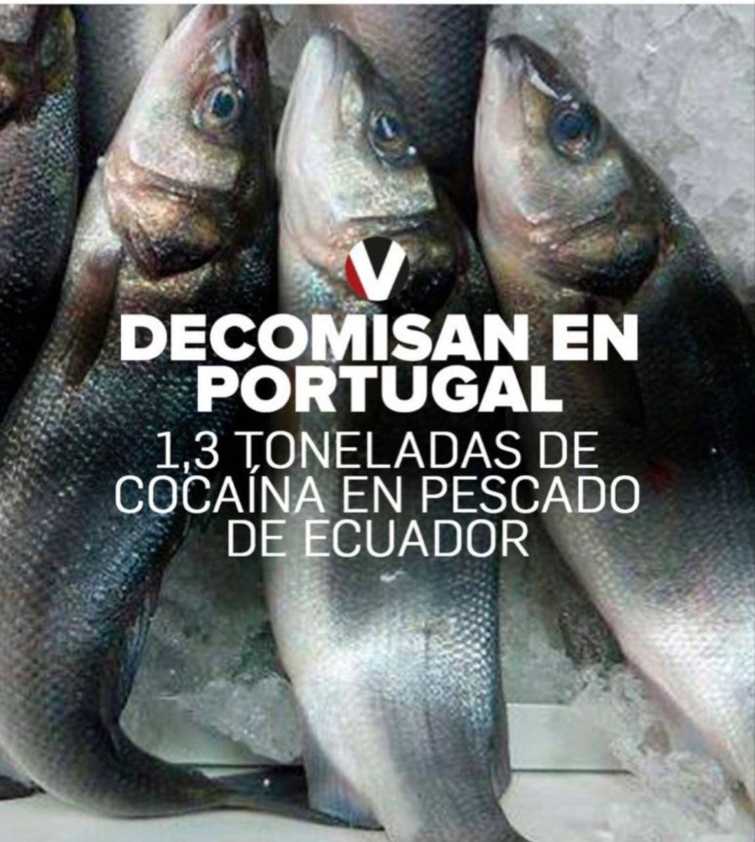 Mónica Palacios tweet media