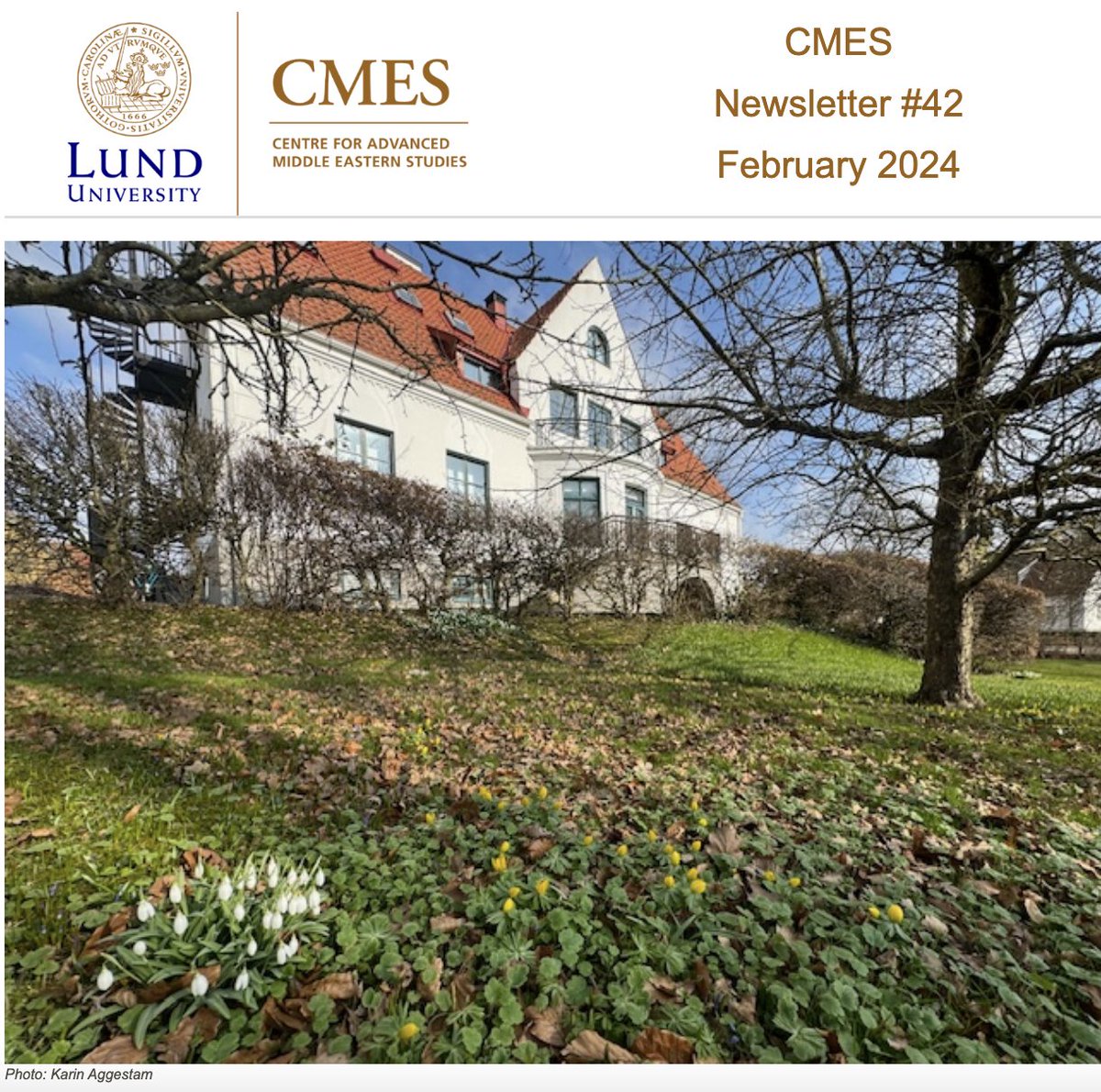 Read the latest CMES Newsletter about our ongoing research activities, upcoming events and recent publications! @lunduniversity @swemena @NSMES_ME ui.ungpd.com/issues/f85bb4c…