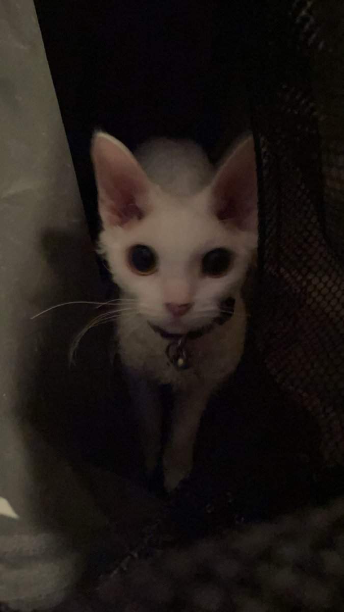 Why is Instagram not working anyone know why ?