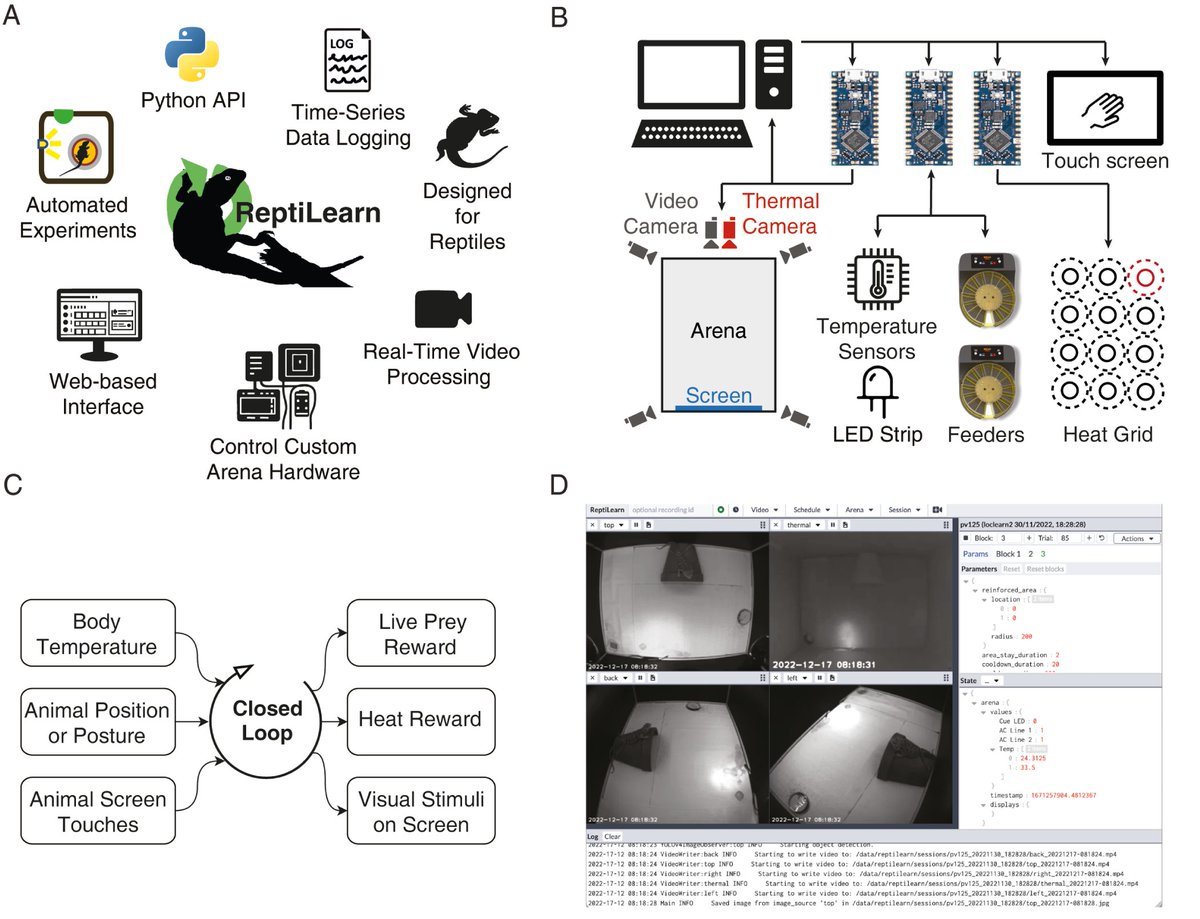 New on the Wall: 'ReptiLearn: An automated home cage system for behavioral experiments in reptiles without human intervention' by Eisenberg & @EvoNeuralCode Super cool to see different species using touchscreens! Yassssss! Check it out: touchscreencognition.org/2024/03/05/rep…