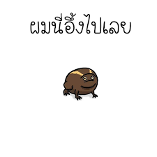 AIEW85's tweet photo. ผมนี่ ............นั่งเหลารอเลย
#เฟสล่ม #ไอจีล่ม  #ทวิตล่ม #tiktokล่ม https://t.co/L2g0tNPiiR