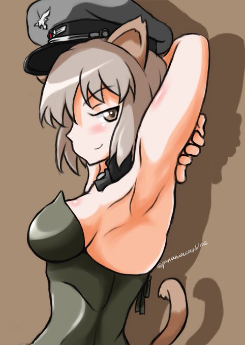 ぼにんさん🐱ボニ 