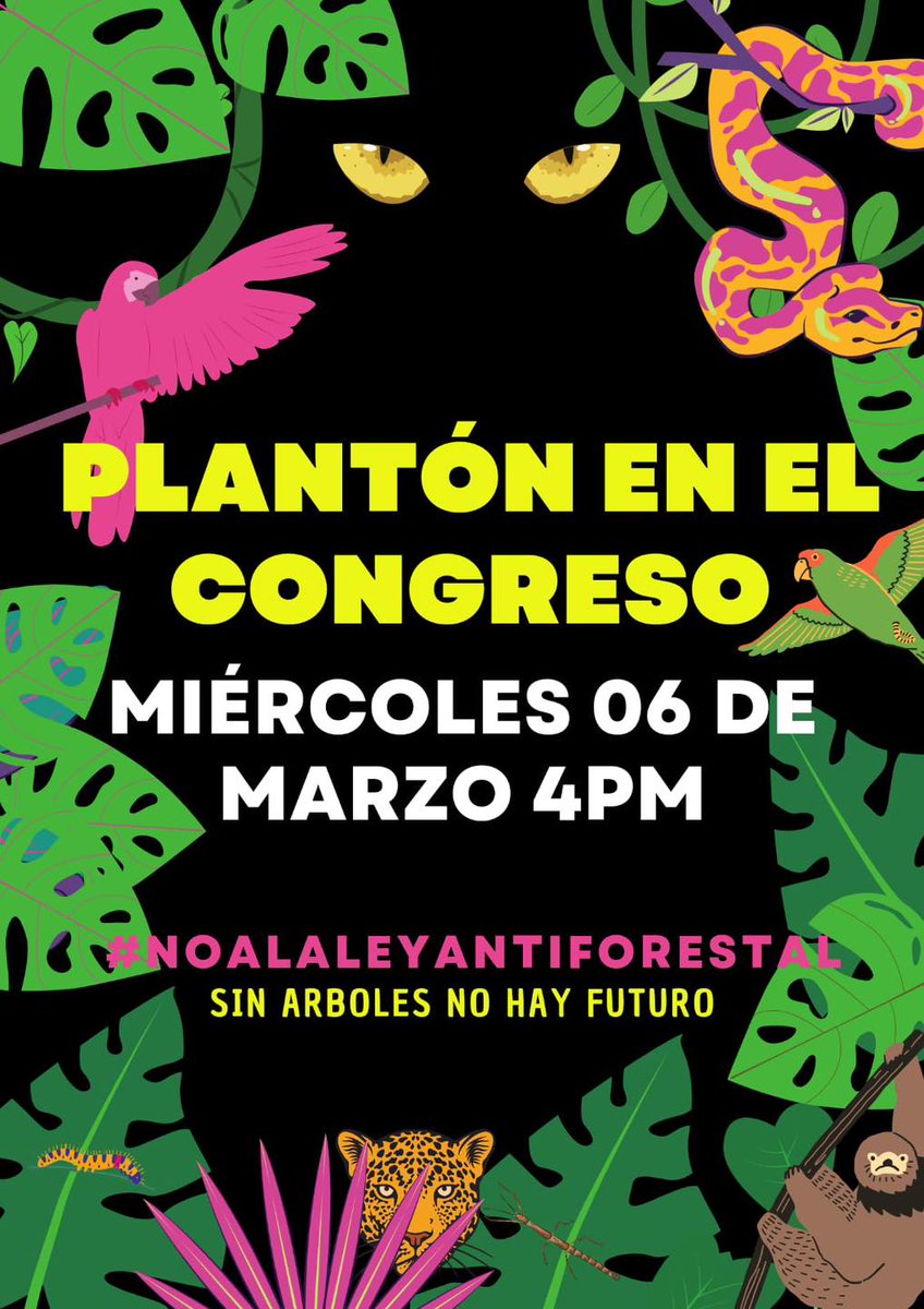 aidesep_org's tweet image. ¡Nos sumamos a la movilización nacional contra la #LeyAntiforestal!
Este miércoles 06/03, a las 4:00 p.m., una delegación de AIDESEP y nuestras bases participaremos en el Plantón frente al Congreso para continuar luchando contra esta nociva ley que depredará nuestra Amazonía.