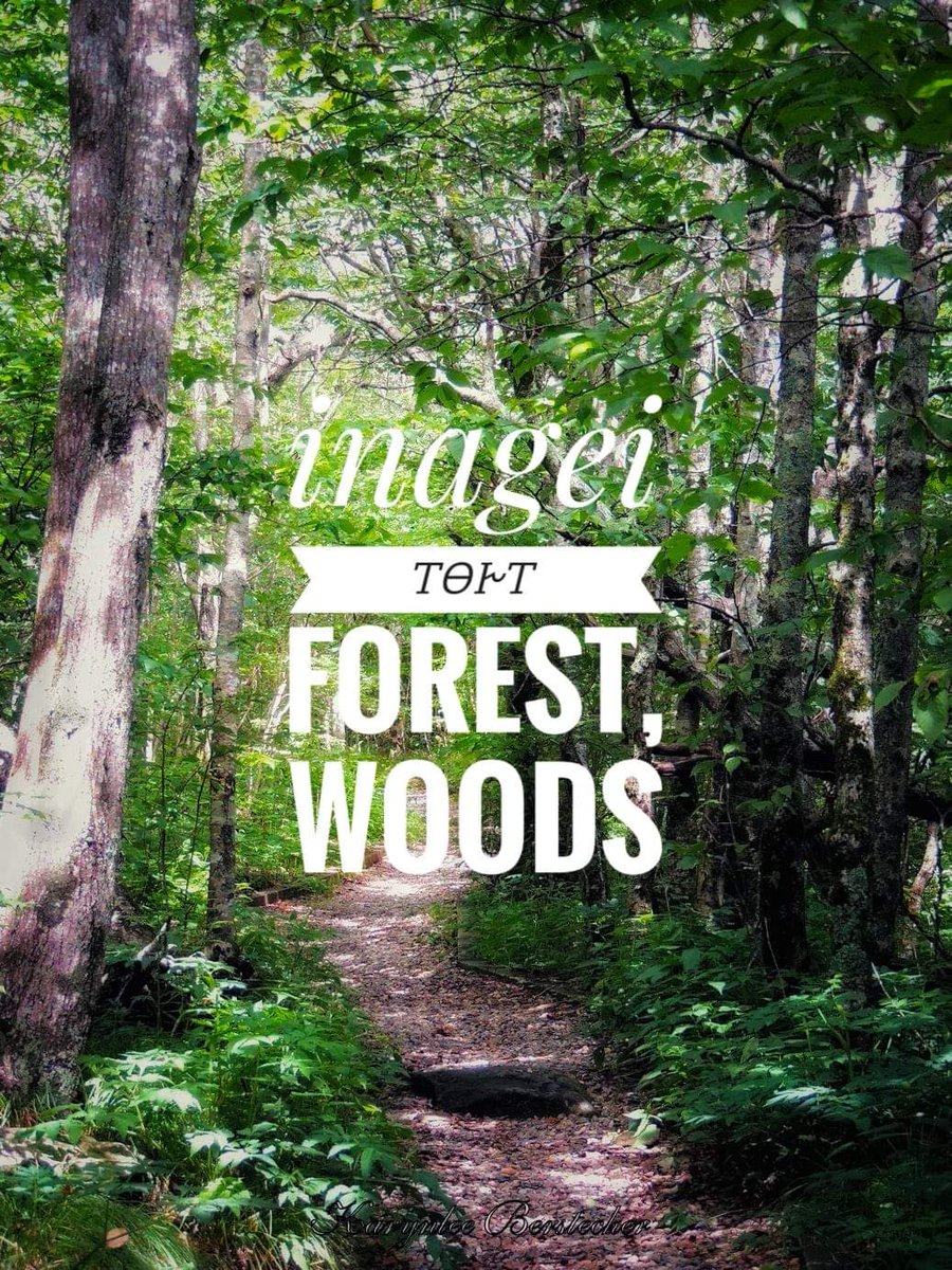 #dadiwonisi #tsalagi #indigenouslanguagemonth
#cherokeelanguage