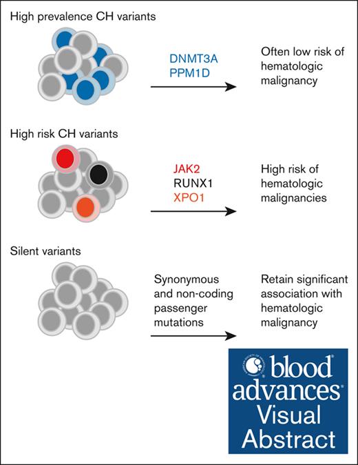 High-risk CH mutations in JAK2, RUNX1, and XPO1 anticipate hematologic malignancy in patients with cancer. ow.ly/BKoF50QHhy2 #myeloidneoplasia #hematopoiesisandstemcells