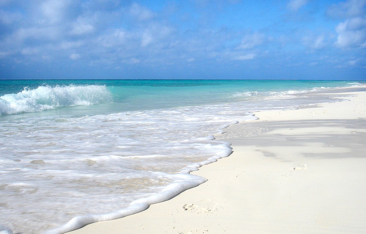 Cruise Collective (@cruis_collectiv) on Twitter photo 🌴📍Cuba and Treasures of the West Indies
Join this magical voyage with <a href="/ambassadorcruis/">ambassadorcruiseline</a> and immerse yourself in the idyllic beauty of the Caribbean's crystal-clear seas and endless skies.
cruise-collective.com/cruise-line-of… 🌴📍Cuba and Treasures of the West Indies
Join this magical voyage with <a href="/ambassadorcruis/">ambassadorcruiseline</a> and immerse yourself in the idyllic beauty of the Caribbean's crystal-clear seas and endless skies.
cruise-collective.com/cruise-line-of…