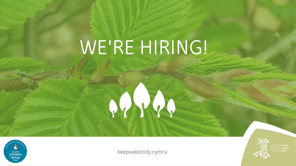Hedgerows form a vital part of our landscape but they’re at risk. Help us protect them. 💚 Join our team as a Urban Long Forest Project Coordinator. ⏰ Applications close on 11 March. 👉 bit.ly/4bZrGhR @HeritageFundCYM @alwcymru @coedcadw @llais_yGoedwig