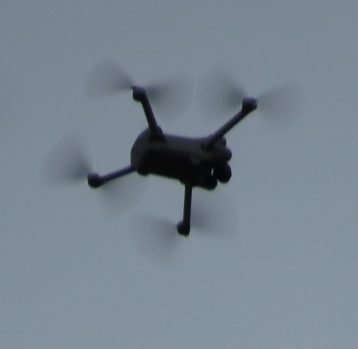 This pesky drone was hovering and pestering the female PEREGRINE at St Albans Cathedral for half an hour today. Could this be classed as an illegal activity (nesting site of a Schedule One species). If you know who is responsible, please DM me